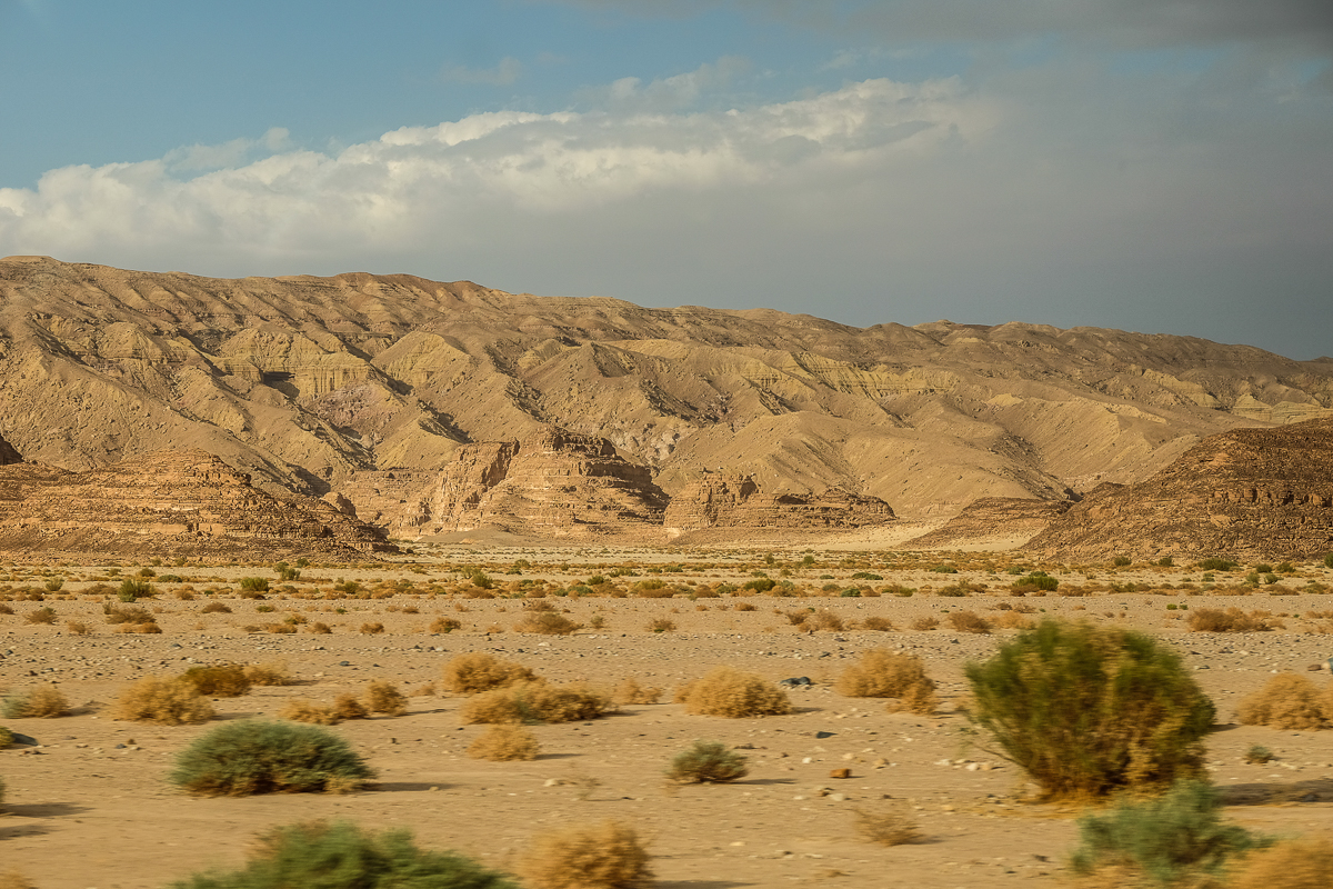 أكبر هضبة في المملكة العربية السعودية